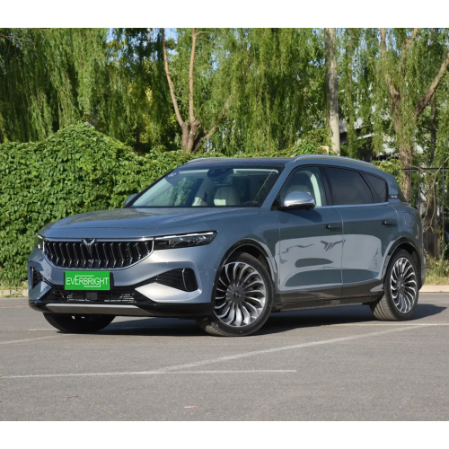 NUOVO SILVER PURE ELETTRICE SUV 2021 VOYAH FREE NEDC 505km Max Power 255KW